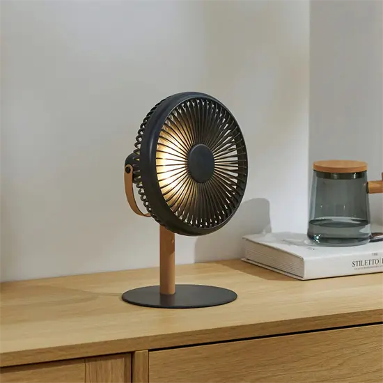 Gingko - Beyond Detachable Desk Fan/ Light  Smart Grey