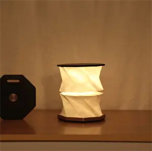 Gingko - Twist Hexagon Lamp - Black