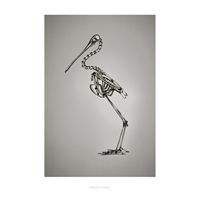 BC3 plakat fra Hagedornhagen (42 x 59 cm)