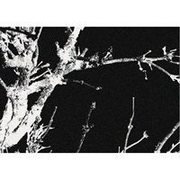 Skriver Collection d�rm�tte Branches str. 60 x 85 cm