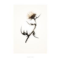 G2 plakat fra Hagedornhagen (42 x 59 cm)