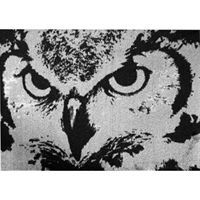 Skriver Collection d�rm�tte Owl str. 60 x 85 cm