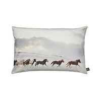 By Nord - Pude med islandske heste i galop (60 x 45 cm) - PT. UDSOLGT