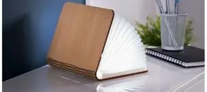 Gingko - LED Smart Booklight - Maple - Large