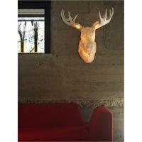 Moo v�glampe fra Northern Lighting