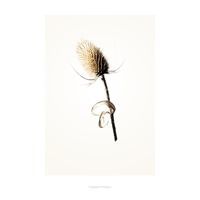 G3 plakat fra Hagedornhagen (42 x 59 cm)