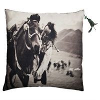 Au maison - pude - Dream on - horse