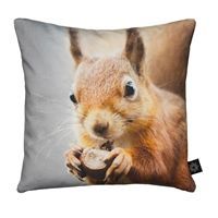 By Nord - Baby pude med print af egern (30 x 30 cm)