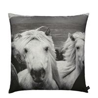 By Nord - Pude med print af islandsk hest
