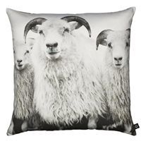 By Nord - Pude med print af f�r