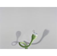 Seed v�glampe fra Northernlighting - gr�n