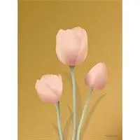 Plakat med Tulipaner fra ViSSEVASSE