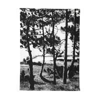 By Nord - Viskestykke med fotoprint af fyrreskov 
