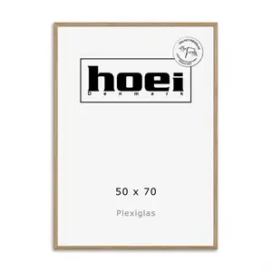 HOEI 120 - MASSIV EG 50X70 - PLEXIGLAS 