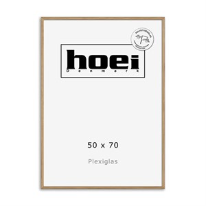 HOEI 120 - MASSIV EG 50X70 - PLEXIGLAS 