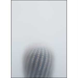 Kristina Dam - Ball Cactus I - poster 50x70 cm