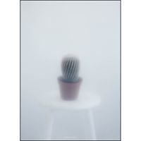 Kristina Dam - Ball Cactus II - poster 50x70 cm