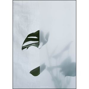 Kristina Dam - Split-leaf I - poster 50x70 cm