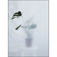 Kristina Dam - Split-leaf I - poster 50x70 cm