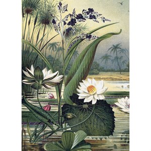 The Dybdahl - Plakat 30x40 cm - Water Plants L - Papir