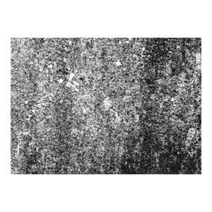Image of Skriver Collection - Dørmåtte - TrendMat Delux - Wall (60 x 85 cm)