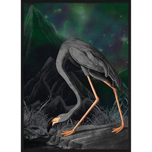 The Dybdahl - Plakat 30x40 cm - Black Flamingo Remix - Papir