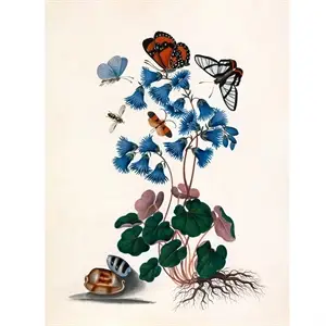 The Dybdahl - Plakat 30x40 cm - Butterflies & Blue Flower - Papir