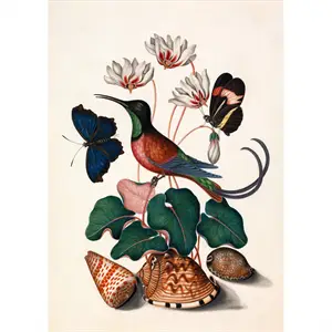 The Dybdahl - Plakat 30x40 cm - Hummingbird, Butterflies & Flowers - Papir