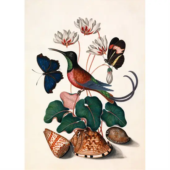 The Dybdahl - Plakat 50x70 cm - Hummingbird, Butterflies & Flowers - Papir