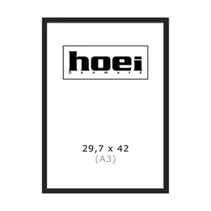 HOEI 111 - HOEI 111 SORT 29,7X42 - PS glas - A3