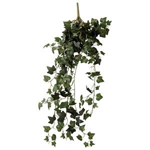 Image of Lene Bjerre Flora efeu