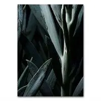 Martin Moore plakat - Plants plakat