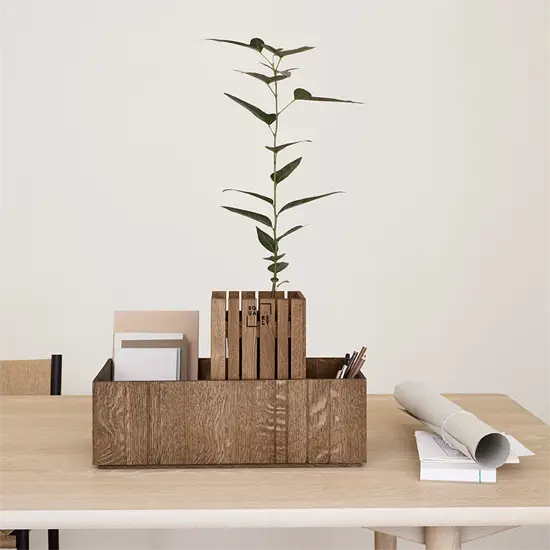 Bordorganisator i mørk eg med plante, notesbøger og kuglepenne på et bord.