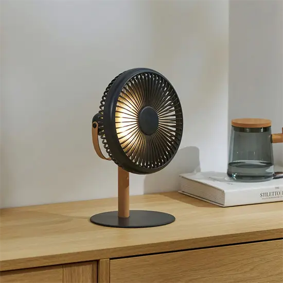Gingko - Beyond Detachable Desk Fan/ Light Smart Grey