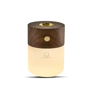 Gingko - Smart Diffuser Lamp Walnut