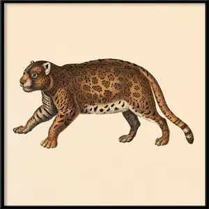 The Dybdahl -  Plakat - Leopard, Mini Print - 15x15 cm