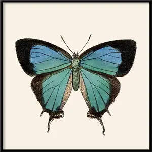 The Dybdahl -  Plakat - Blue Butterfly. Mini Print - 15x15 cm