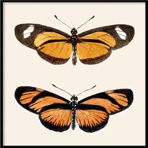 The Dybdahl -  Plakat - Orange Butterflies. Mini Print - 15x15 cm