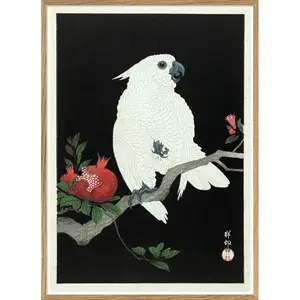 The Dybdahl - Plakat 30x40 cm. - Cockatoo & Pomegranate - Papir