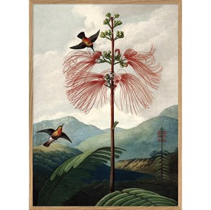 The Dybdahl - Plakat 50x70cm. - The Tree of Flowers - Papir