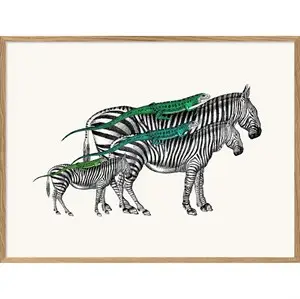 The Dybdahl - Plakat 30x40 cm. - Zebras and Lizards - Papir