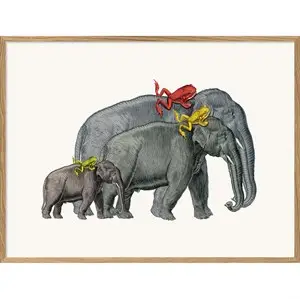 The Dybdahl - Plakat 30x40 cm. - Elephants and Frogs - Papir