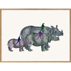 The Dybdahl - Plakat 30x40 cm. - Rhinos and Birds - Papir