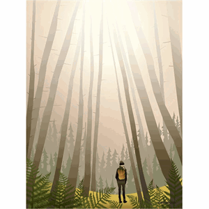 Image of ViSSEVASSE - Into the woods - 30x40 cm