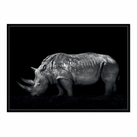 ChiCura - Plakat "Mrs. Rhino" - A3
