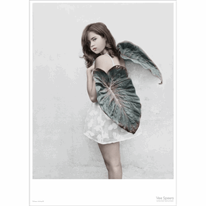 Image of ViSSEVASSE - Plakat Thirteen #2 - (50x70 cm)