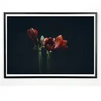 Applicata - Plakat - Dark red - 30x40 cm