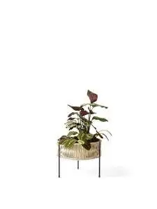 Audo - Umanoff, Planter, H: 32 cm