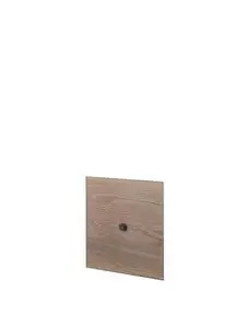 Audo - Door For Frame 49, Smoked Oak