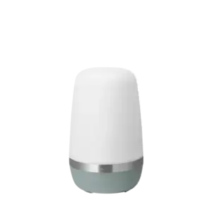 Blomus - LED Outdoor Lamp L  - SPIRIT - Pine Gray